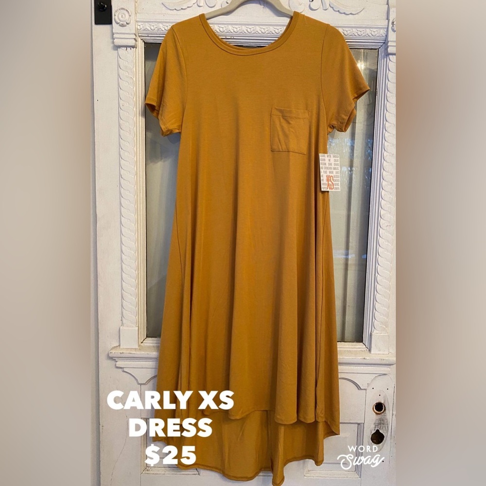 LulaRoe Carly dress
Size XS